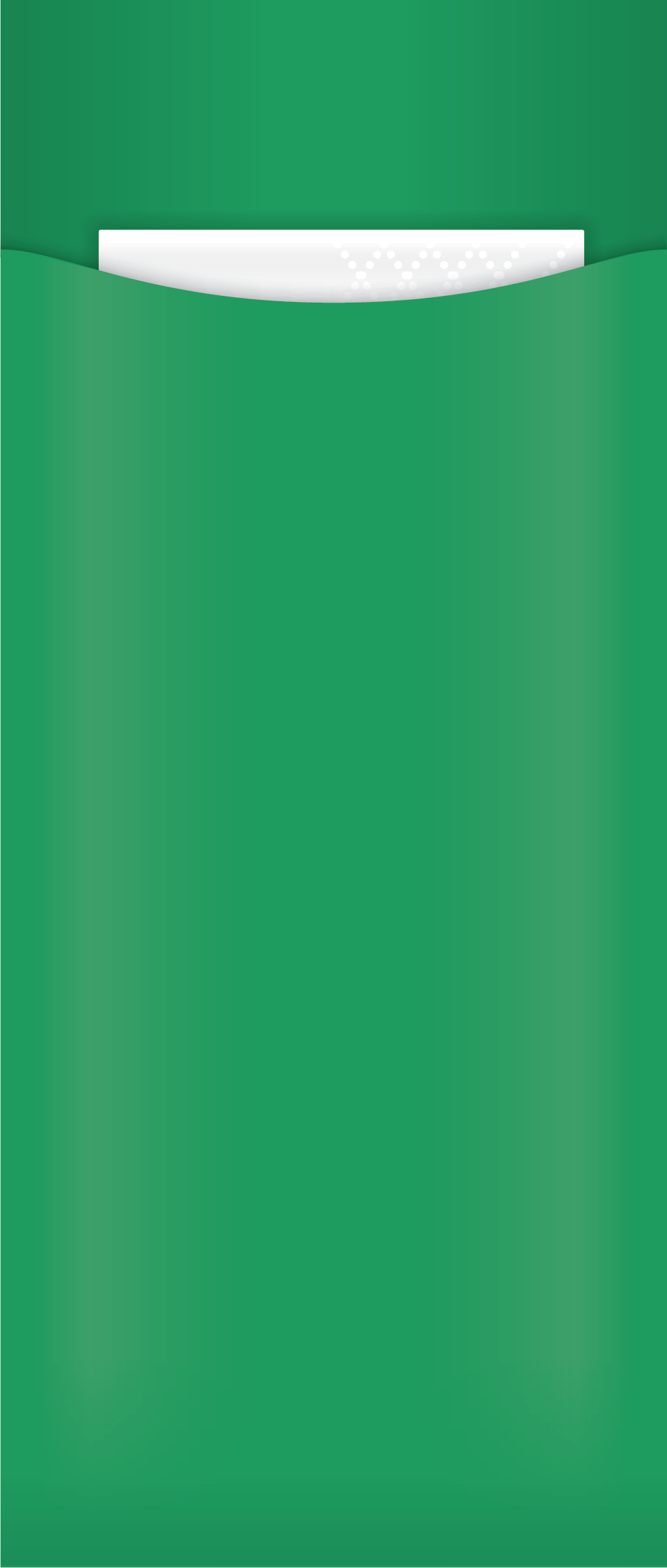 green cutlery pouch with napkin, no cutlery