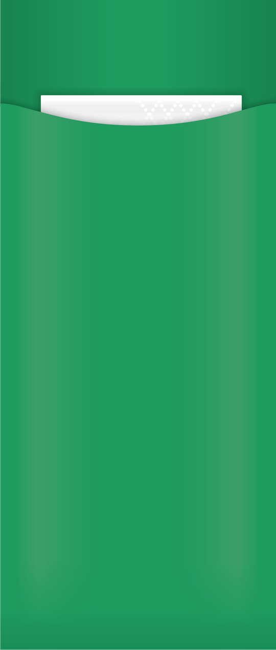 green cutlery pouch with napkin, no cutlery