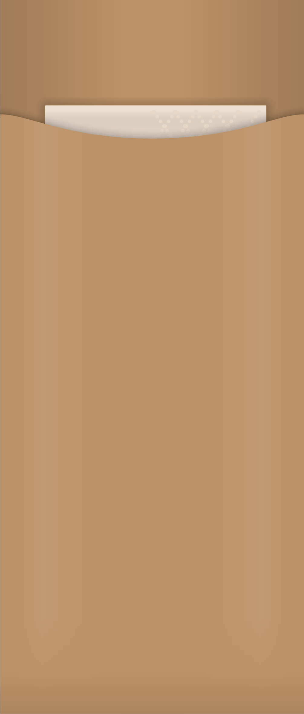 kraft cutlery pouch with napkin, no cutlery