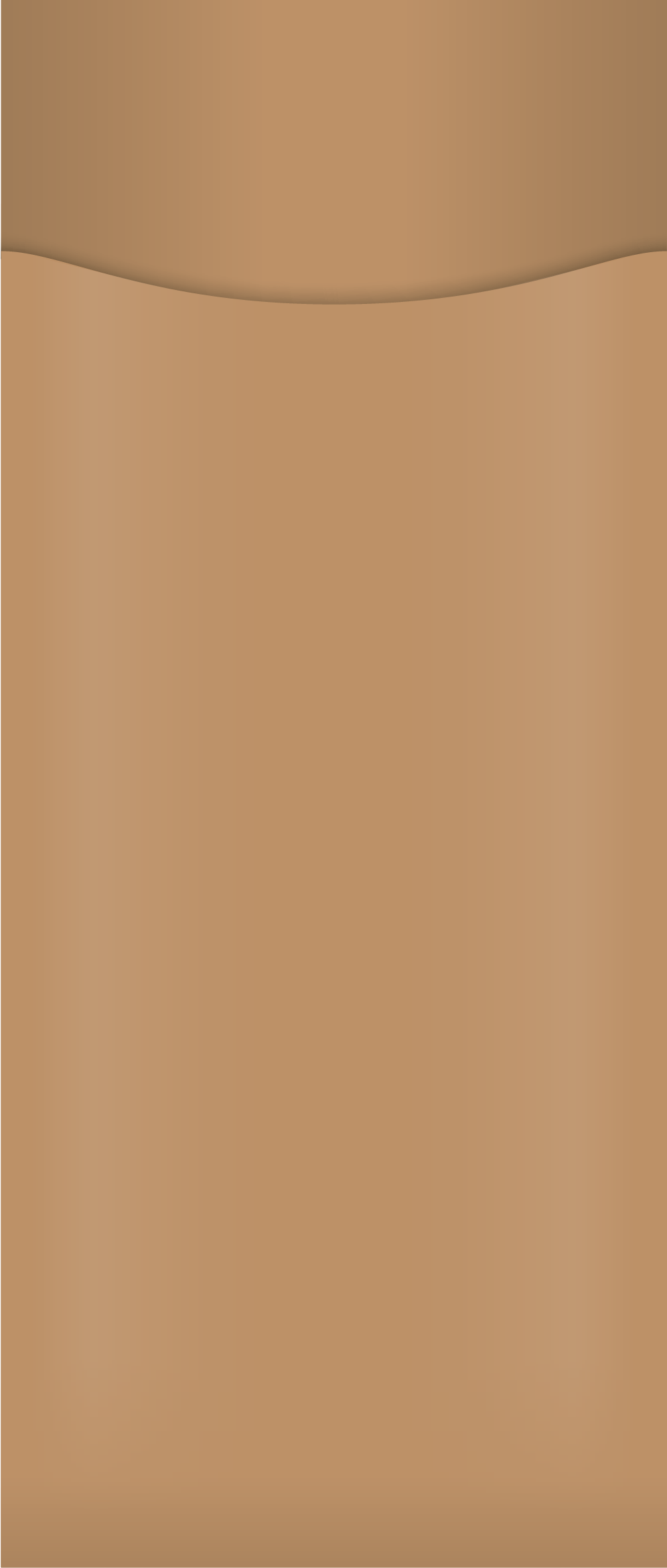 kraft paper cutlery pouch with no napkin