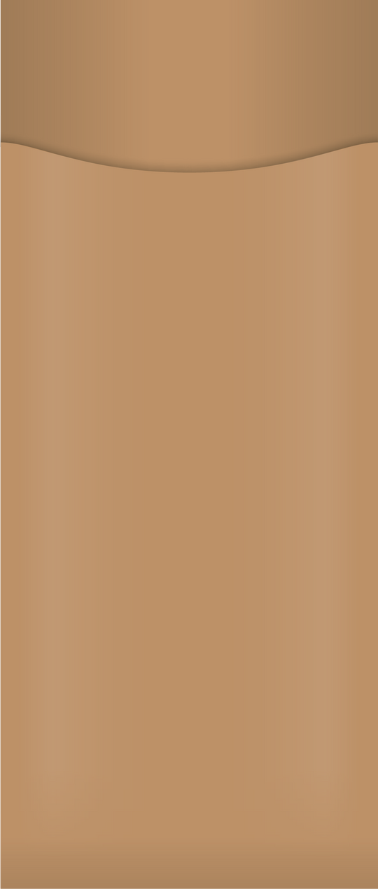 kraft paper cutlery pouch with no napkin